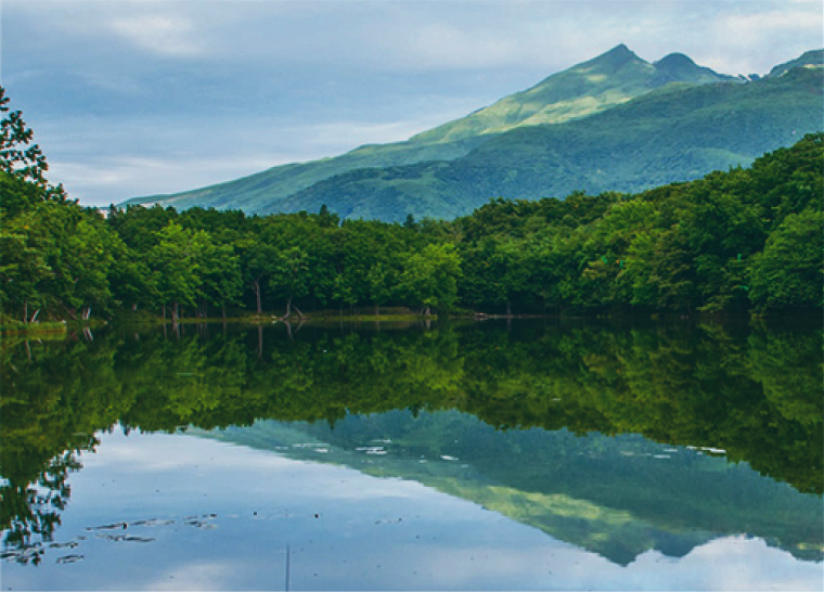 시레토코의 즐기는 방법