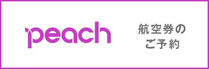 peach 항공권 예약