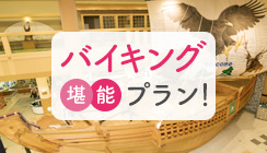 마루스코이 바이킹 플랜