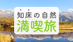 액티비티 관광 만끽 플랜