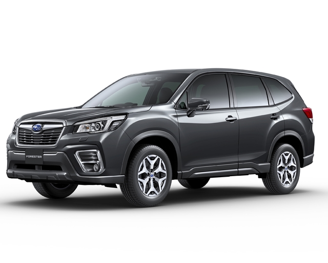 렌터카 특별 우대 바이킹 플랜【1박 2식】