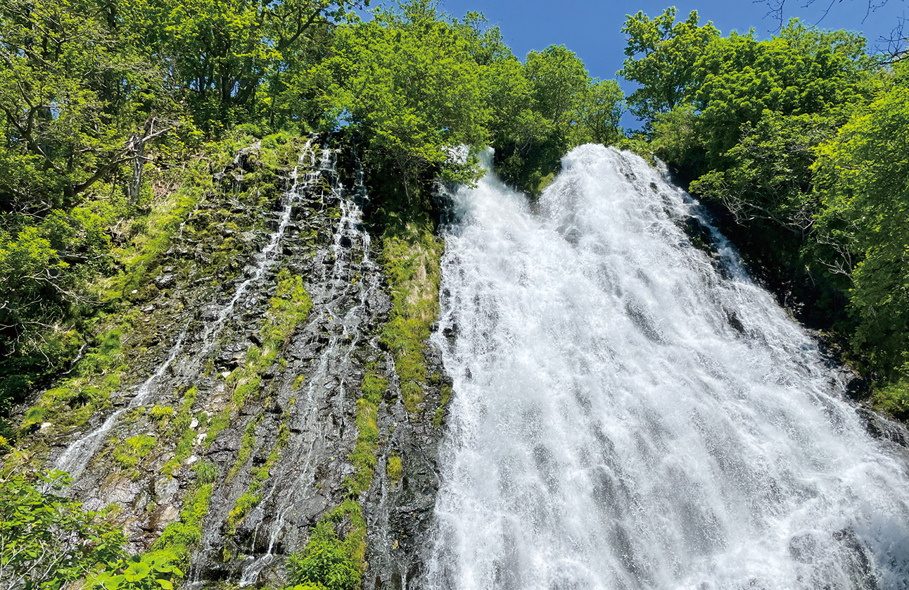 오신코신노타키