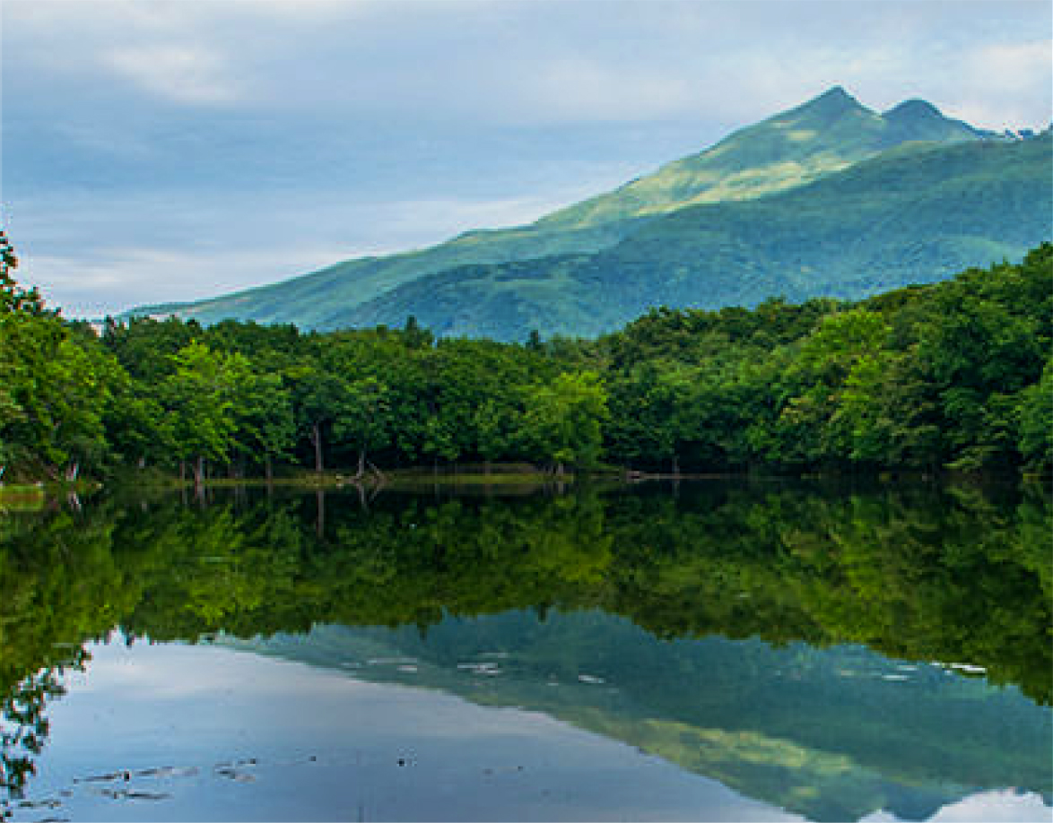 시레토코 다이이치 호텔