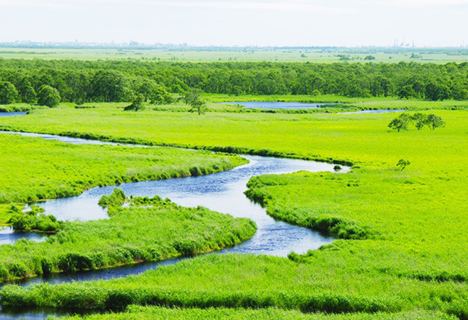 구시로시 규바라 전망대