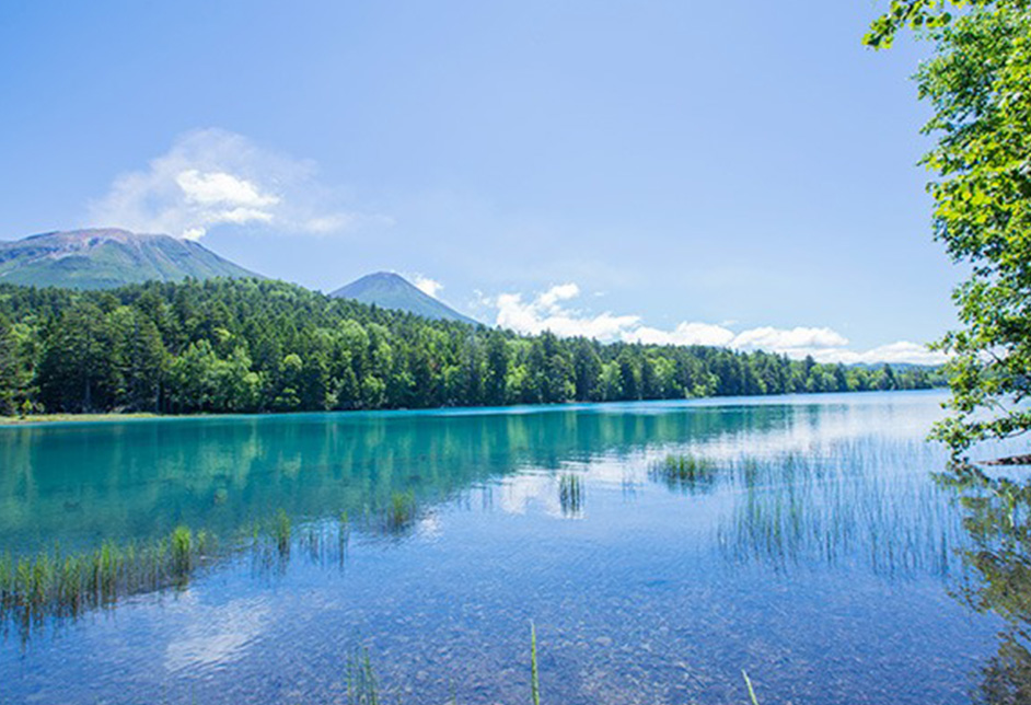 아칸코 온천에 체크인