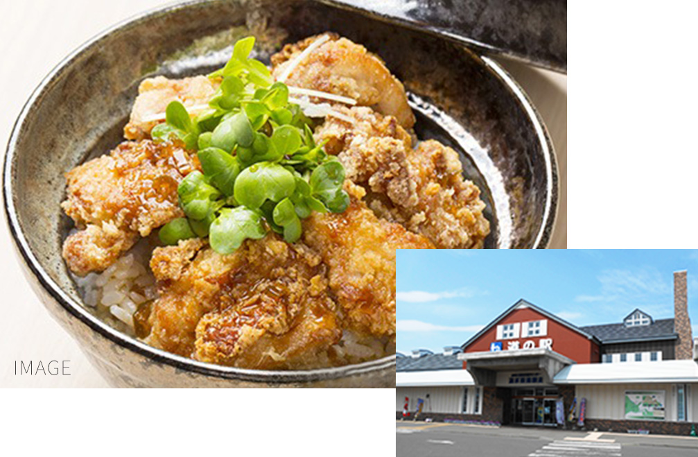 미치노에키 류빙 가도 아바시리