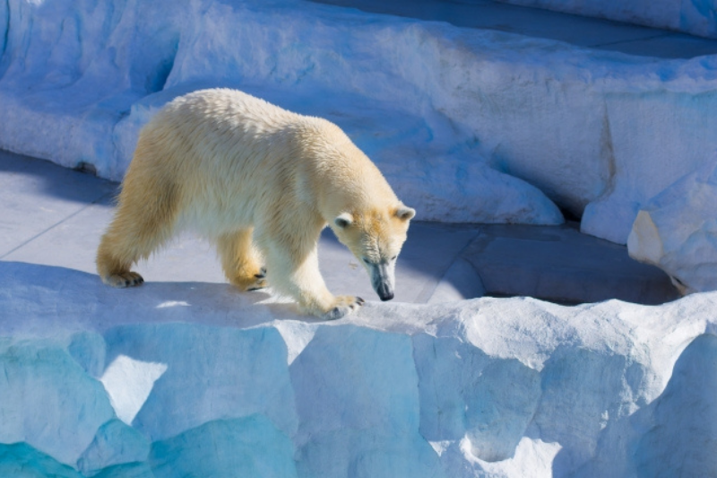아사히야마 동물원