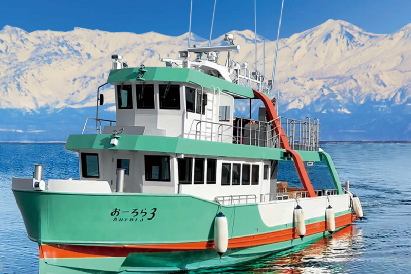 아바시리 오로라