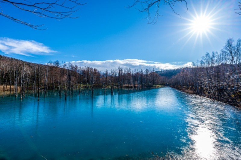 시로가네푸른이케