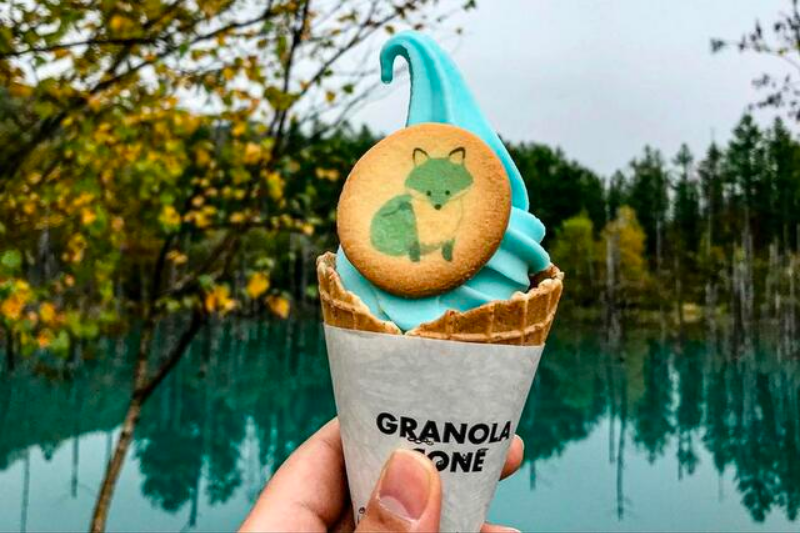 아오이케 소프트