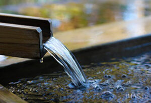 미치노에키온네유온센