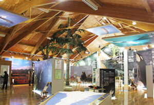 시레토코 세계유산센터