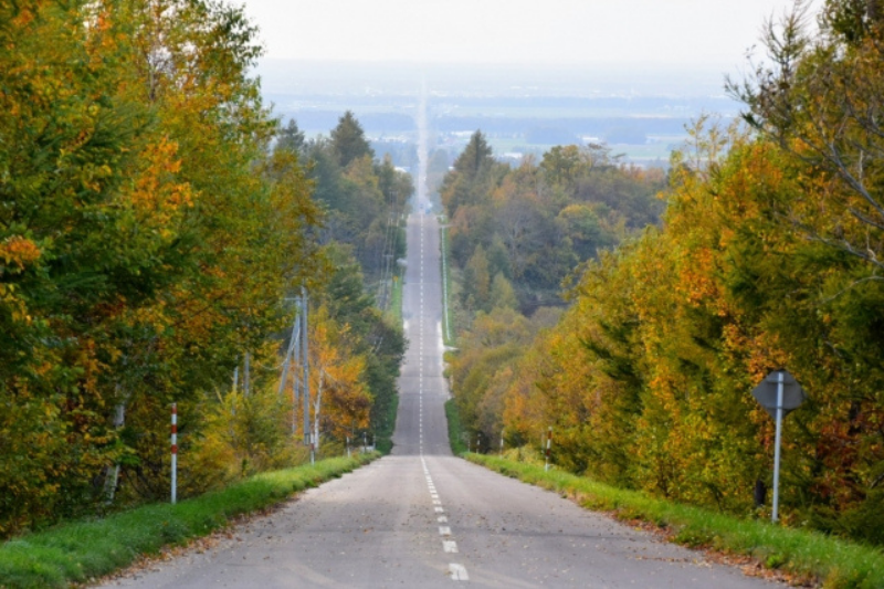 하늘로 이어지는 길