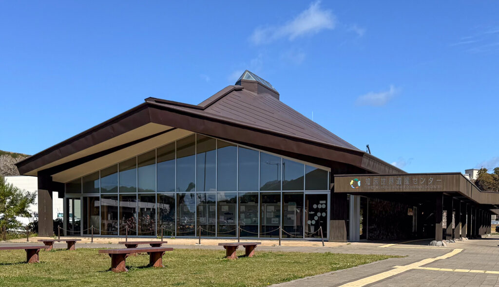 비오는 날의 지토코