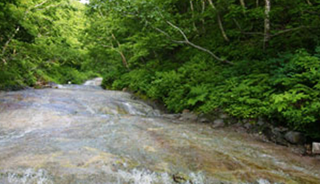 등산·사와도리