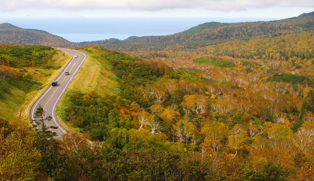 가을이 남는 시레토코